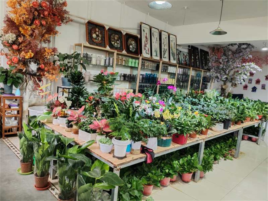 博思花藝婚慶教育，婚慶培訓(xùn)，花藝培訓(xùn)，插花培訓(xùn)，花藝師培訓(xùn)，主持人培訓(xùn)，商務(wù)主持人培訓(xùn)，花店運(yùn)營培訓(xùn)，花店全系統(tǒng)營銷，小白開花店，小白學(xué)主持，金璽棠婚慶酒店，金璽棠總部，鄭州金麻雀教育科技有限公司