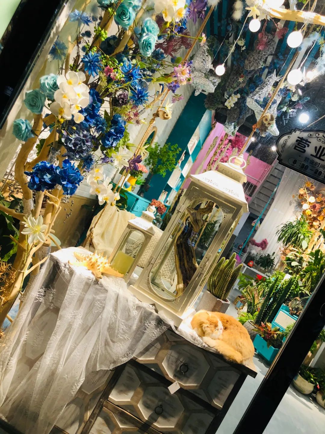 博思花藝婚慶教育，婚慶培訓，花藝培訓，插花培訓，花藝師培訓，主持人培訓，商務主持人培訓，花店運營培訓，花店全系統(tǒng)營銷，小白開花店，小白學主持，金璽棠婚慶酒店，金璽棠總部，鄭州金麻雀教育科技有限公司