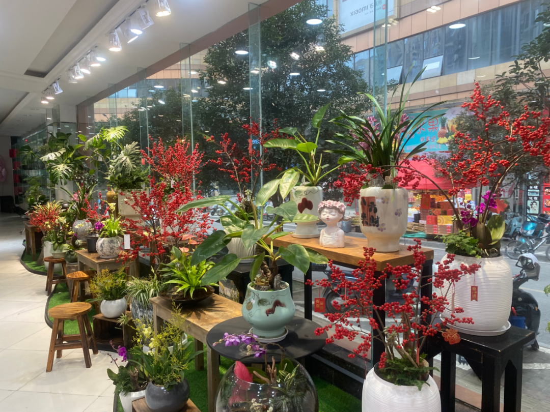 博思花藝婚慶教育，婚慶培訓(xùn)，花藝培訓(xùn)，插花培訓(xùn)，花藝師培訓(xùn)，主持人培訓(xùn)，商務(wù)主持人培訓(xùn)，花店運(yùn)營培訓(xùn)，花店全系統(tǒng)營銷，小白開花店，小白學(xué)主持，金璽棠婚慶酒店，金璽棠總部，鄭州金麻雀教育科技有限公司