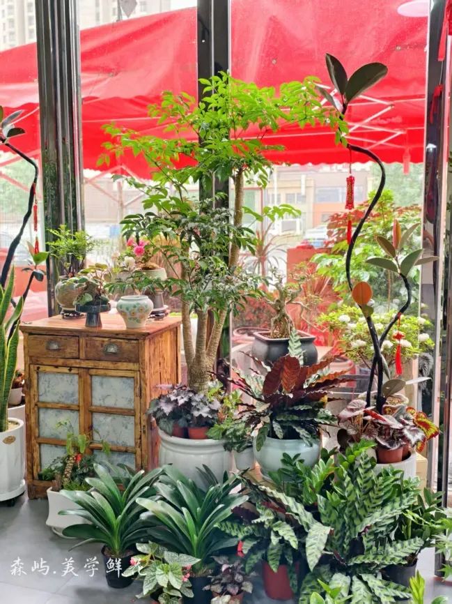 博思花藝婚慶教育，婚慶培訓，花藝培訓，插花培訓，花藝師培訓，主持人培訓，商務主持人培訓，花店運營培訓，花店全系統(tǒng)營銷，小白開花店，小白學主持，金璽棠婚慶酒店，金璽棠總部，鄭州金麻雀教育科技有限公司